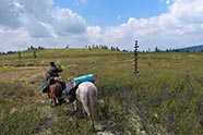 Wanderreittouren in Tuva